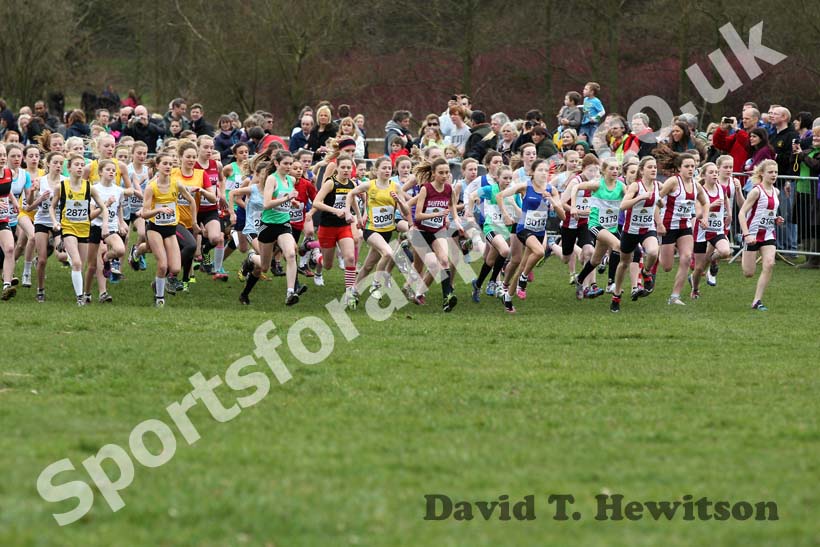 Under-13 Girls start, McCain Inter Counties Cross Country, Cofton Park, Birmingham.